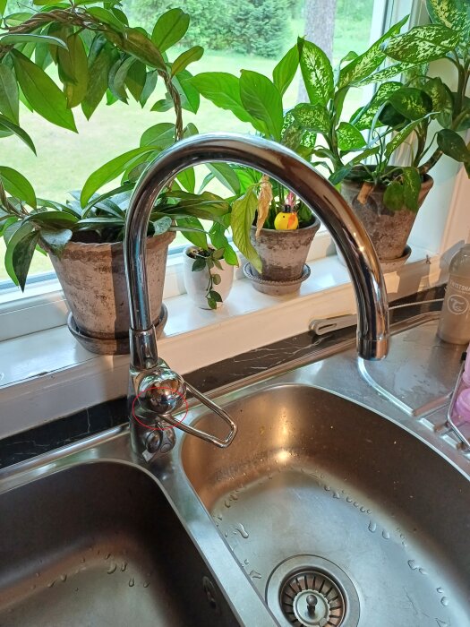 Köksblandare från FM Mattsson med läckage under handtaget, monterat ovanpå en rostfri diskbänk med vattendroppar och krukväxter i fönstret.