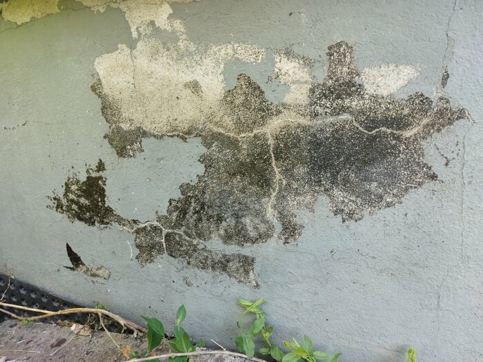 Källarfasad med avskalad färg som avslöjar svarta fläckar som möjligtvis är mögel eller asfaltsbehandling.