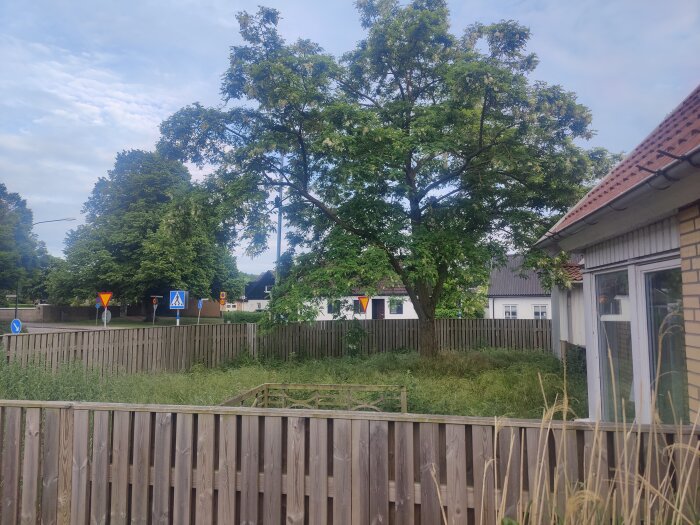 Trädgrenar som växer över en staketlinje med högt ogräs framför och ett kedjehus i bakgrunden.