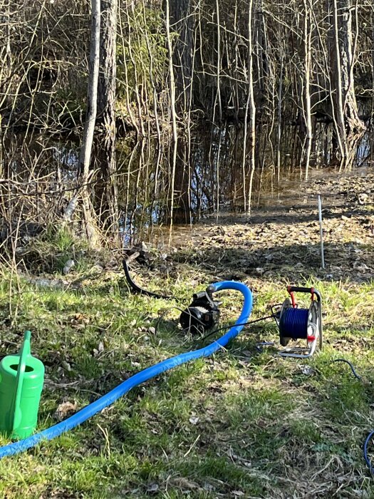 Vattenansamling vid tomtkant med pump och slangar för att hantera dräneringsproblem.