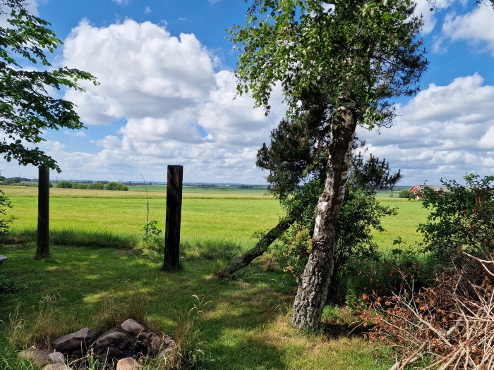 Utsikt över fält med träd i förgrunden och himmel med moln ovanför.