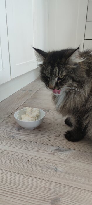 Långhårig katt som slickar sig om munnen bredvid en skål med cheesecake på ett trägolv.