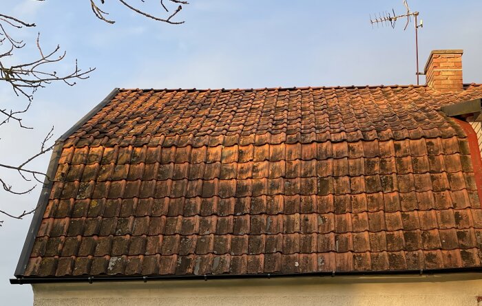 Gamla lertegeltakpannor med sot och lavar på ett hustak mot ljus himmel.