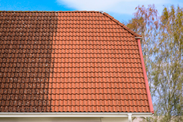 Tegeltak med alger och renare röda tegelpannor efter behandling mot överväxt.