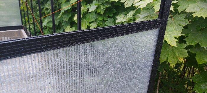 Grå plastlist i S-form som håller en kanalplastskiva på plats i ett växthus, med regndroppar på ytan.