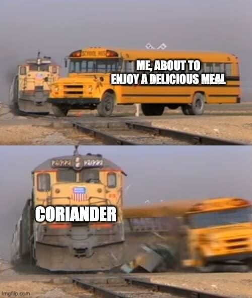Meme med en skolbuss och tåg, överst text "ME, ABOUT TO ENJOY A DELICIOUS MEAL" och nederst "CORIANDER".