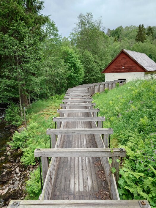 Trätrapp över bäck leder upp till rött hus omgivet av grönskande natur.