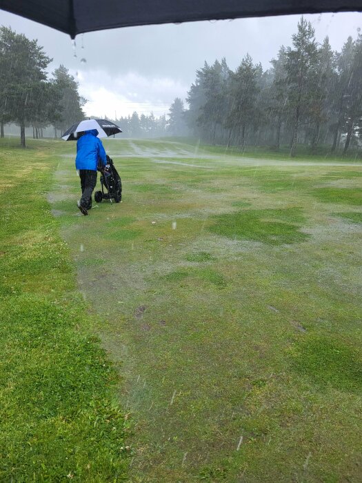 Person med paraply och golfvagn går i regnet på en frodig golfbana.