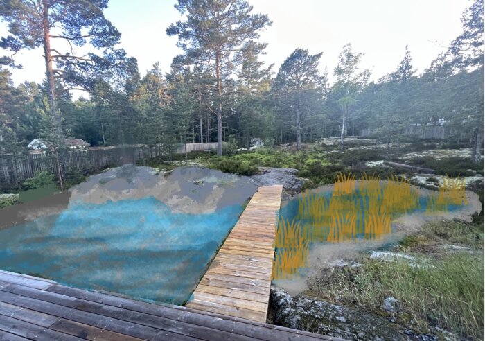 Bild av en skiss för en planerad pool där berg samt träbrygga syns, med illustrerade blå vattenytor och gul vegetation på en skogig tomt.