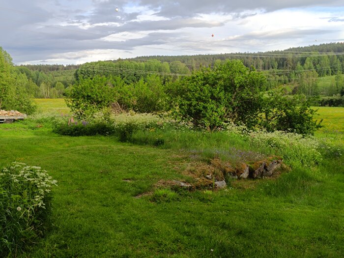 En grönskande trädgård med gräsmatta, buskar och blommor. I bakgrunden syns skog och kullar under molnig himmel.