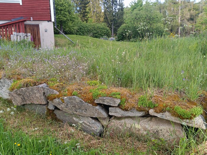 Liten blomsterrik stenmur täckt med mossa och gräs framför en röd träbyggnad med omgivande grönt landskap.