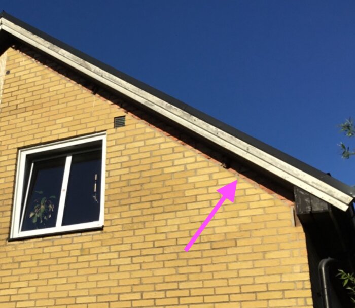Gul tegelvägg på ett hus med tak som inte sträcker sig ner till fasadens toppen. Ett rosa pilar_markerar ett område som saknar murverk.