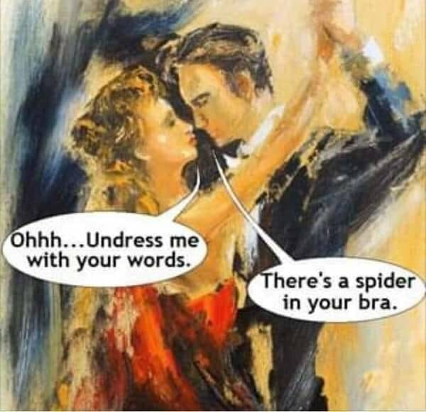Konstnärlig målning av ett par som dansar. Kvinnan säger "Ohhh...Undress me with your words" och mannen svarar "There's a spider in your bra.