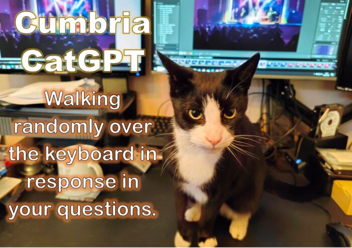 Svartvit katt framför datorskärmar med texten "Cumbria CatGPT: Walking randomly over the keyboard in response to your questions".