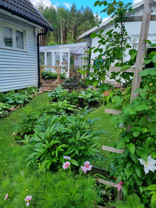 En välskött trädgård med grönska, blommor och ett trähus i bakgrunden.