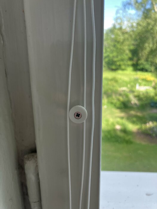 Vit knapp med skruv fäst på fönsterkarm, två vita snören hänger vertikalt längs knappen. Grönska syns genom fönstret.