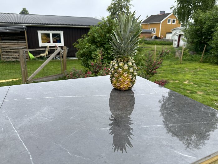 En ananas placerad på en blank grå klinkerplatta med en trädgård och två hus i bakgrunden.