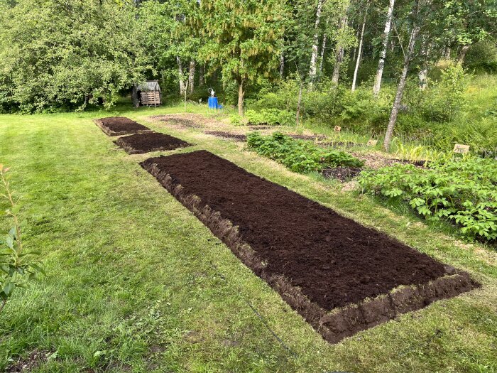 Tre upphöjda odlingsbäddar med nyplöjd jord i en trädgård. Grönska och träd syns i bakgrunden.