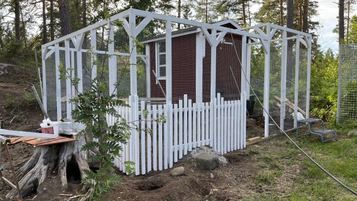 Halvbyggd bur med vitt staket och nätväggar framför ett rött förråd i skogsmiljö. Verktyg och material ligger på en trädstubbe bredvid.