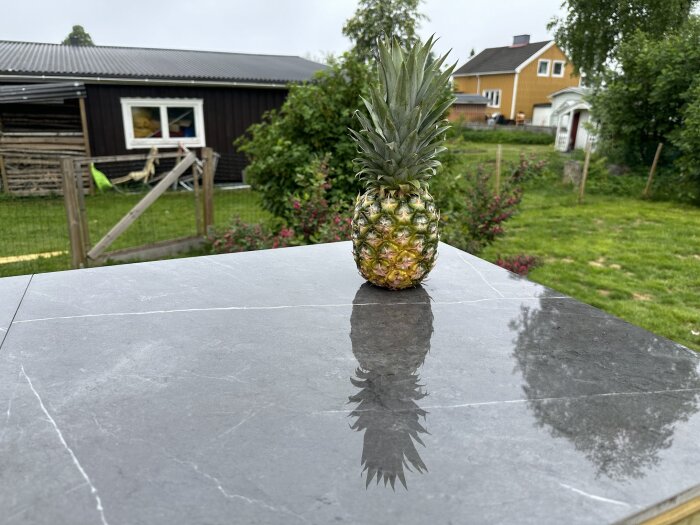 En ananas står på ett stort svart kakel som täcker en bänk; i bakgrunden syns en trädgård med ett gult hus och ett staket.