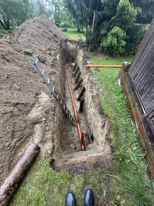 Schaktgrop med orange avloppsrör, flera stubbar och en stege brevid en byggnad i en trädgård.