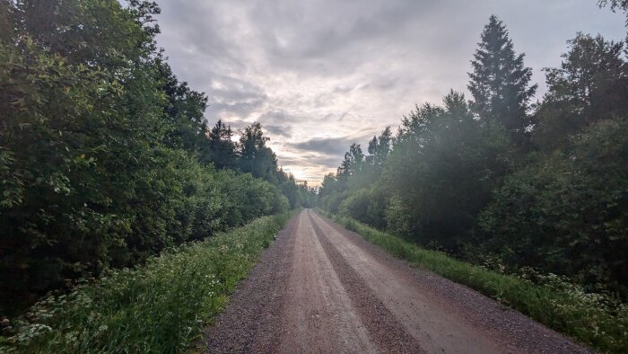 En grusväg som sträcker sig rakt fram, omgiven av tät vegetation och träd på båda sidor, under en molnig kvällshimmel.