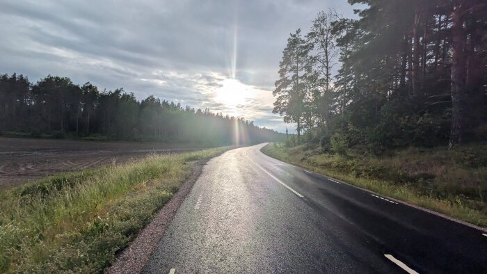 En asfalterad landsväg slingrar sig genom en solbelyst skog, omgiven av träd och gräs vid solnedgång eller soluppgång.