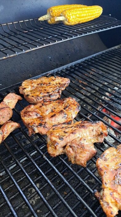 Grillad karré med majskolvar placerade på en svart kolgrill.