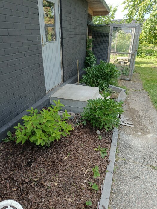Nybyggd betongtrappa bredvid en grå husvägg och dörr, omgiven av gröna buskar och trädgård. En sopborste står lutad mot väggen.