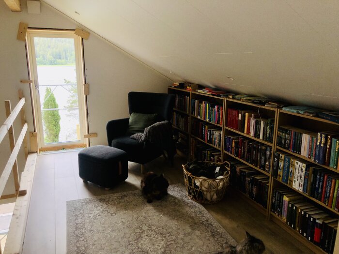 Ett rum under renovering med bokhyllor, fåtölj och en matta; två katter på golvet och ljusinsläpp från altandörr med utsikt över en sjö.