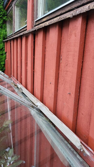 Närbild på fasaden av en röd träbyggnad med rötskador på panelen och fönsterkarmen. Färg som flagar och misskött trä syns tydligt.