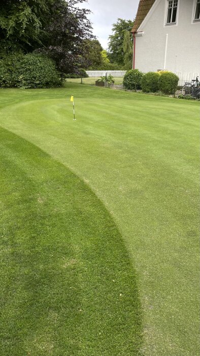 En välskött gräsmatta med en golfhålkopp och flagga, omgiven av växtlighet och ett vitt hus med tegeltak i bakgrunden.