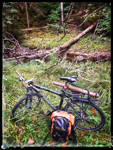 Cykel och ryggsäck parkerade i en frodig, skogsmiljö med nedfallna träd. Bakgrunden visar en bäck och täta buskar samt träd.