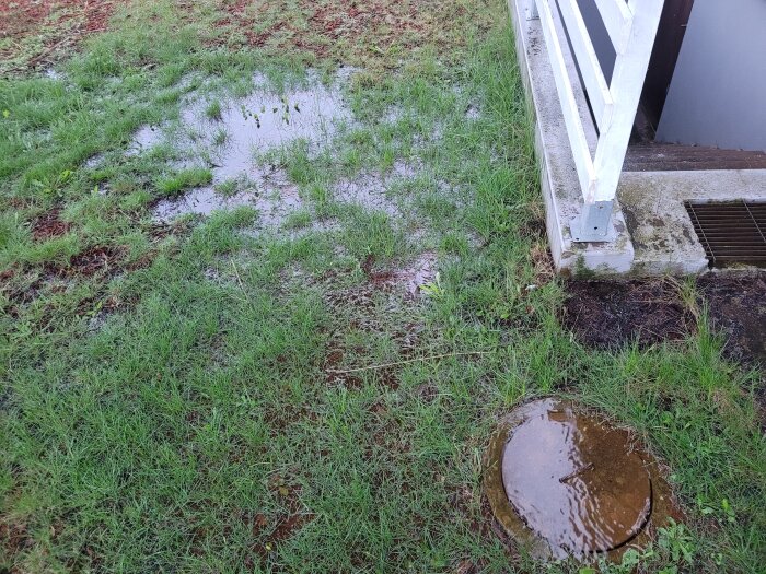 Översvämmad brunn i en trädgård med stående vattenpölar på gräsmattan och nära ett hus.