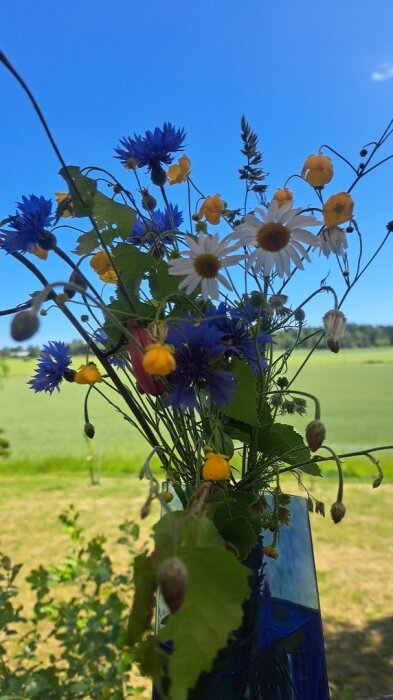 En bukett med vilda blommor inklusive prästkragar, blåklint och smörblommor i en vas, med en grön åker och blå himmel i bakgrunden.