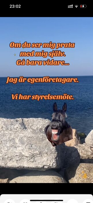 Bild av en häst med ett mänskligt leende stående bland stenar med texten: "Om du ser mig prata med mig själv. Gå bara vidare... Jag är egenföretagare. Vi har styrelsemöte.
