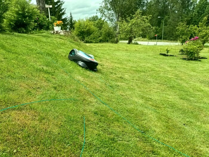 Robotgräsklippare på halvt avklarad stigning av grön sluttande gräsmatta med guidekablar synliga. Blommor och buskar i bakgrunden.