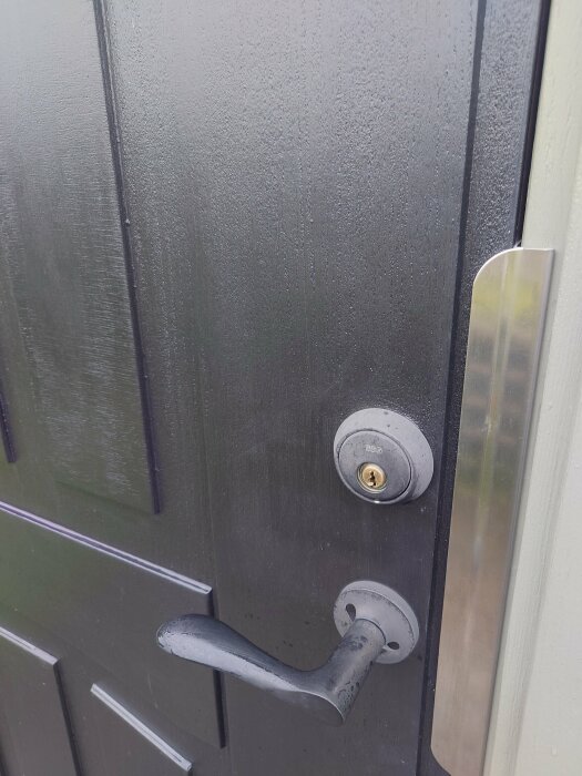 Svart målad ytterdörr med ett blekt dörrhandtag och ny låscylindertäckning.