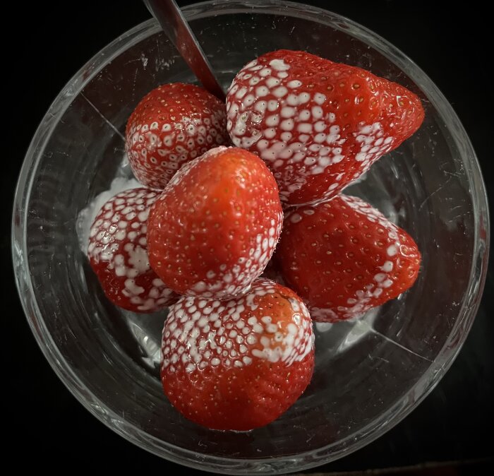 Jordgubbar täckta med yoghurt eller grädde i ett glas med en sked.