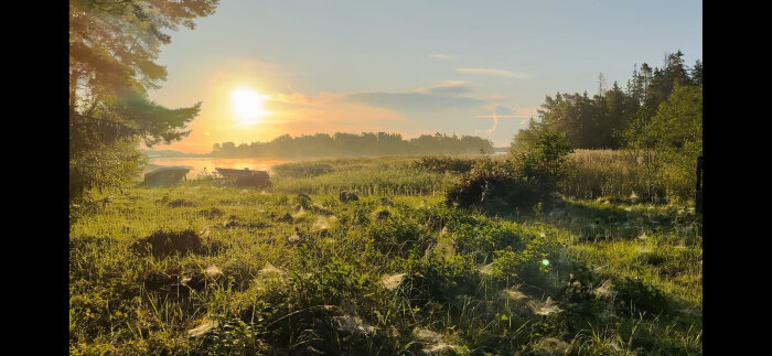 Soluppgång över en sjö med en dimmig åker, träd och båtar i förgrunden, insvept i varmt morgonljus.