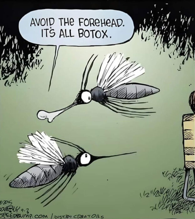 Två tecknade myggor där den ena säger till den andra: "Avoid the forehead, it's all botox.