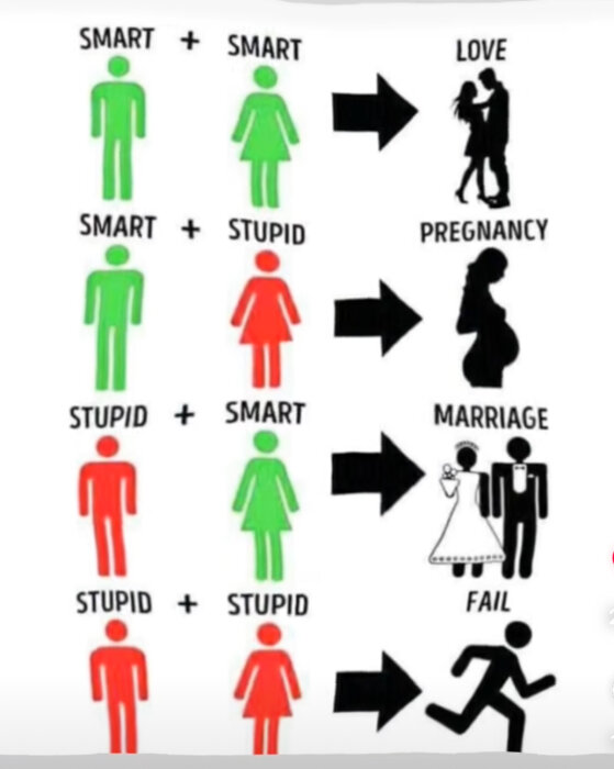 Illustration som visar olika paringskombinationer mellan smarta och dumma personer, tillsammans med resulterande utfall som kärlek, graviditet, äktenskap och misslyckande.