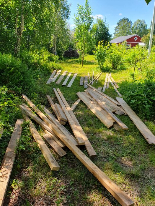 Uppmålade och avsågade träbrädor ligger utspridda på marken i en trädgård, omgivna av grönska och med en röd byggnad i bakgrunden.