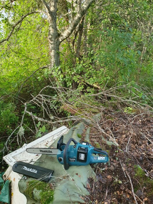 Motorsåg med Makita-märkning på presenning och multnande löv, omgiven av träd och röjd vegetation.