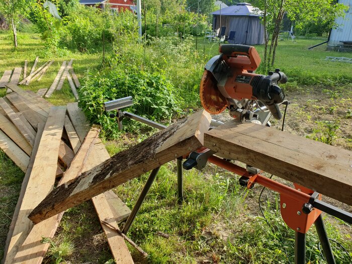 Kap- och gersåg sågar en delvis rutten bräda med  jordig yta. Varierande dimensioner av brädor ligger huller om buller i bakgrunden, omgivna av grönska.