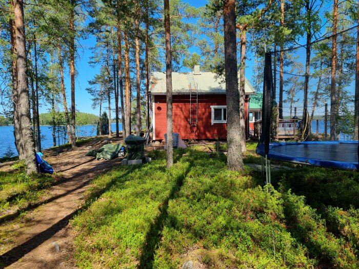 Rött sommarhus omgivet av tallar vid en sjö. Trampolin synlig till höger och diverse föremål utspridda framför huset. Soligt väder och klarblå himmel.