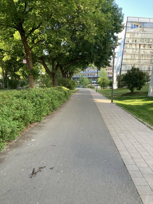 Gång- och cykelväg omgiven av träd och buskar, med bostadshus i bakgrunden under en solig dag.