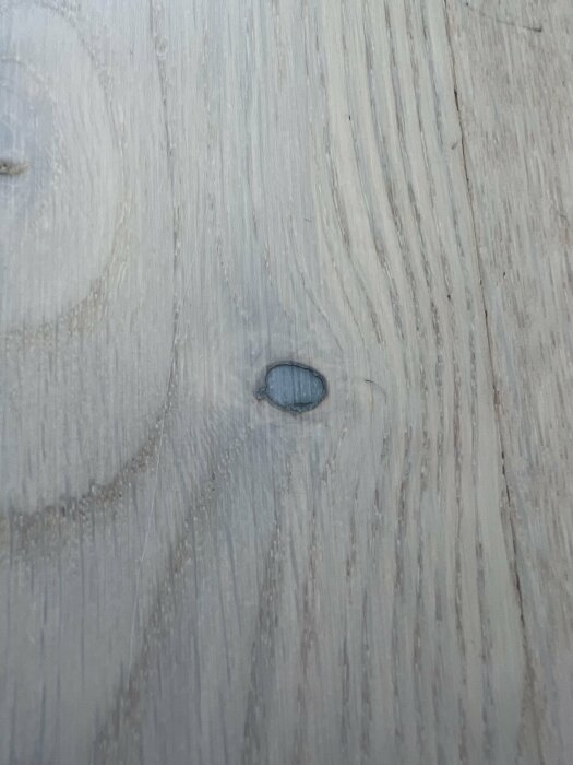 Ljusknotad planka med en synlig blå missfärgning i knuten på ett annars ljust trägolv.