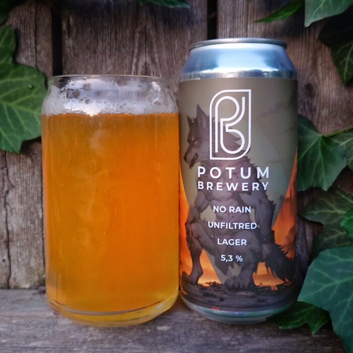 En burk med Potum Brewery No Rain Unfiltered Lager (5,3%) och ett fyllt glas med lageröl, placerade på ett träbord omgivna av gröna blad.