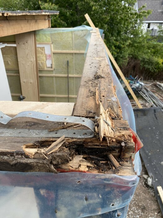 Rötskadat trä på byggarbetsplats, panelen är delvis borttagen för att visa skadorna. Plastskydd och verktyg i bakgrunden.